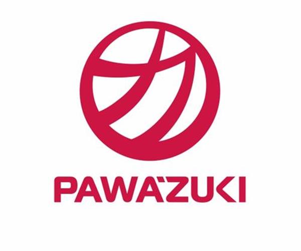 پاوازوکي ژاپن